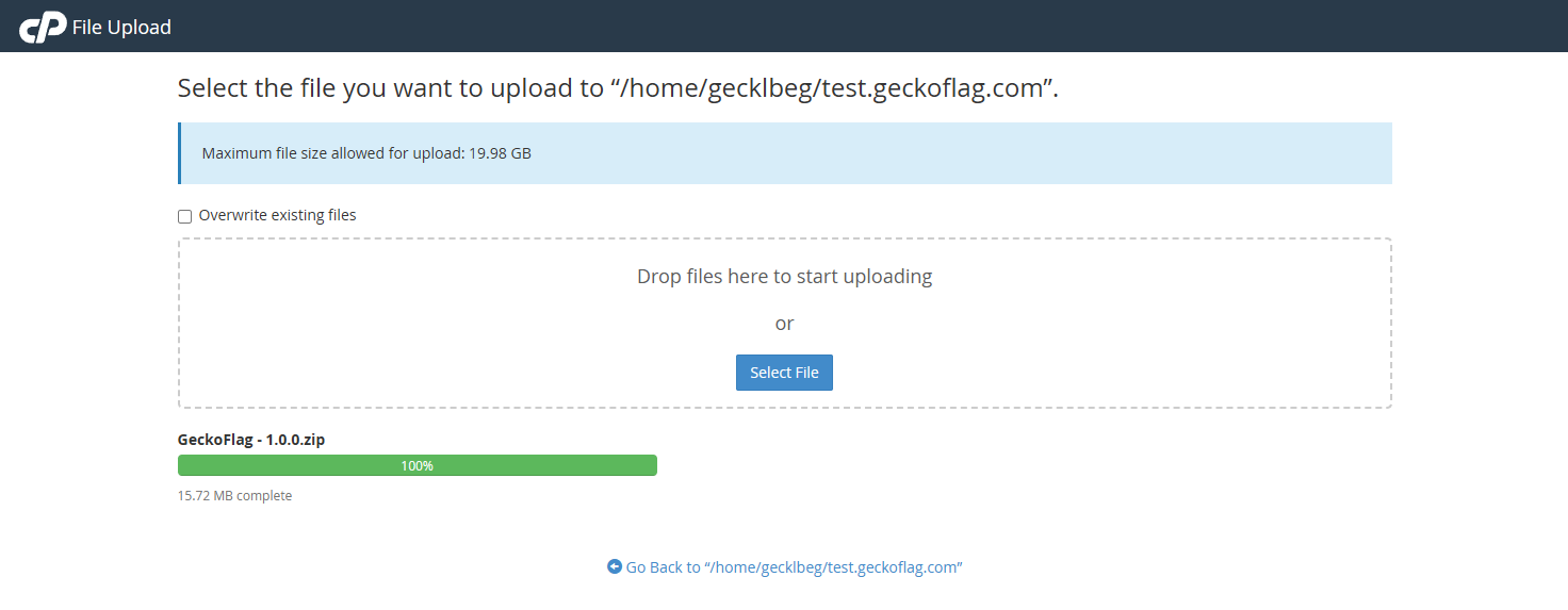 File Upload page showing the GeckoFlag zip file upload at 100%